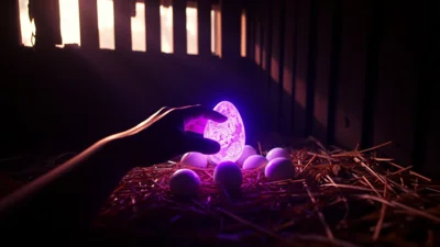 Sen o snášení vajíček slepicí